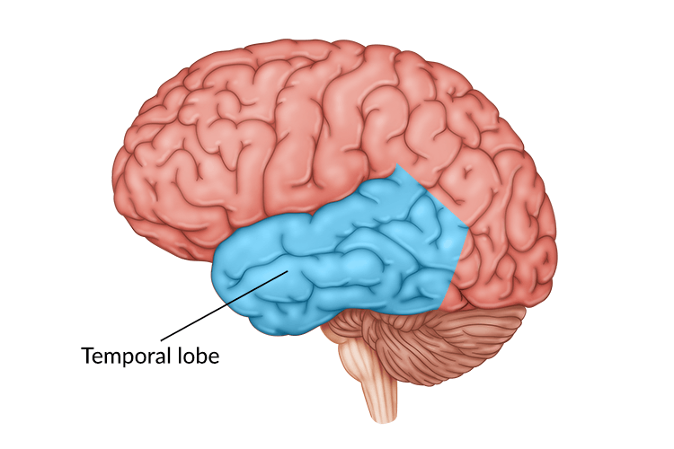 Mumbai doctor removed part of brain causing seizures